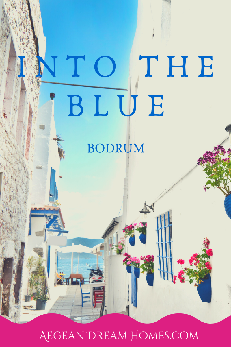 Bodrum property for sale banner. Text overlay reads: Into the blue. Bodrum. Aegean Dream Homes